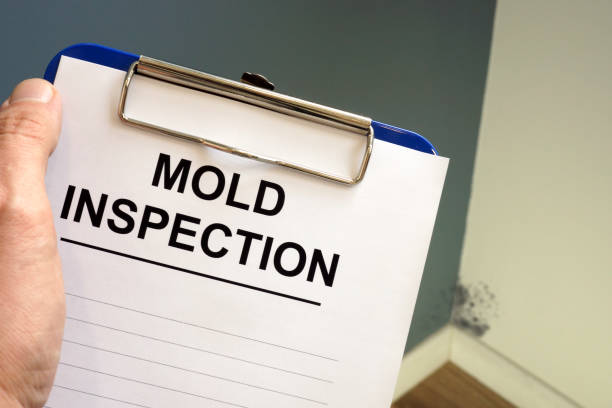 Best Mold-Related Health Consultation  in Lexington, SC